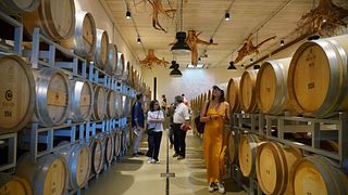 Dégustation de vins et visite à Tenuta Casadei 