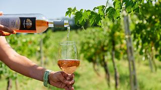 White and rosé wines tasting