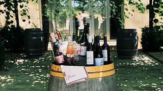 Esplora l'azienda vinicola José L. Ferrer: tour, storia, snack maiorchini e degustazione di vini