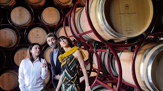 Aldone Vertical Tasting Experience - Bolgheri