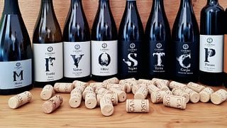 Cata de vinos de origen en Canoso Wine Shop