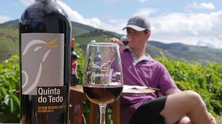 Cata de vinos de Oporto añejos en Quinta Do Tedo