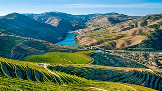 Passeio de Favaios e Degustação de Vinhos