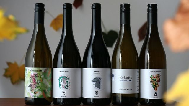 Kékajtó Borászat és Szőlőbirtok