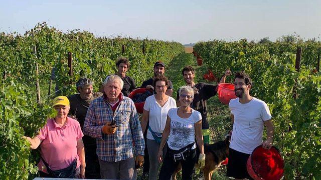 Weinprobe und Tour bei Tarlao Vignis in Aquileia