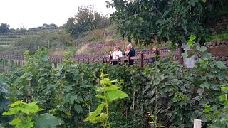Tour Privato di Tre Cantine dell'Etna 