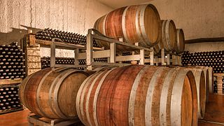 Cata y visita de vinos en Roberto Capecci