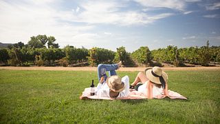 Degustazione di vini e visita alla cantina MontGras