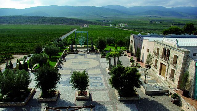 Visita a la finca con cata de vinos: 4 vinos y 2 aceites de oliva