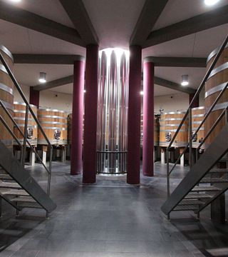 Cata de vinos y tour en Salcheto