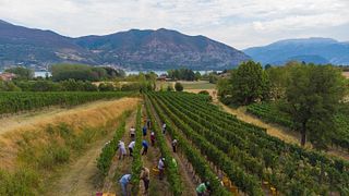 Villa Crespia: A Legacy of Franciacorta