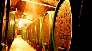 Basic Tasting Tour at Ptujska klet / Pullus Wines