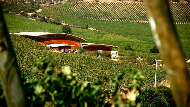 Dégustation de chocolat et de vin à Viña Chocalán