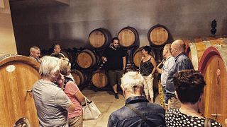 Tuscan Vineyard Tour & Montepulciano Wine Tasting