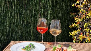 Visite d'un domaine viticole, dégustation de vins et déjeuner