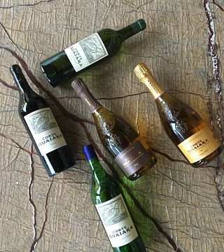 Veneto Vineyard Tour & Tasting at Corte Quaiara