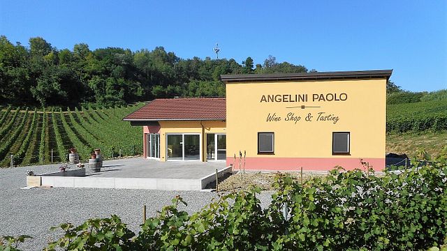 Dégustation de vins et visite chez Angelini Paolo