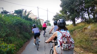 Passeio de bicicleta Ciclismo para Vino saindo de Sitges 