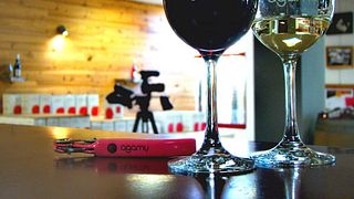 Weinprobe und Tour bei Agamy