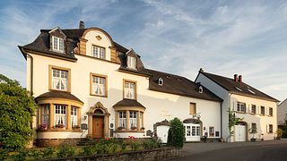 Degustazione di vini e tour presso St. Laurentius Sekt Gmbh