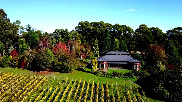 Grey Sands Vineyard