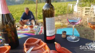 Wine Tasting at Quinta De Silvoso