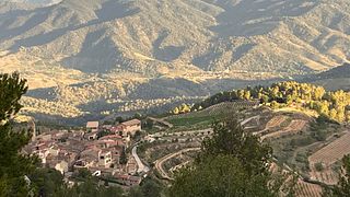 Catalonia's Organic Pasanau Vineyard Tour & Tasting