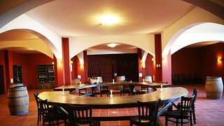 Tour de Vinhedos e Vinícolas e Degustação de Vinhos | Chateau Burgozone