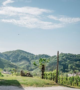 Cata de vinos en Ruge
