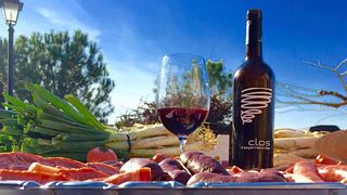 Dégustation de vins et visite des caves Bodegas Barón d'Alba