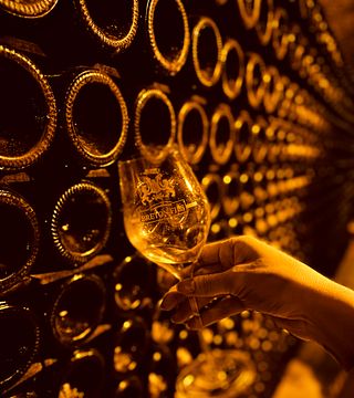 Degustazione di vini e tour allo Champagne Breton Fils