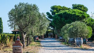 Degustazione di vini e tour a Mas Baux