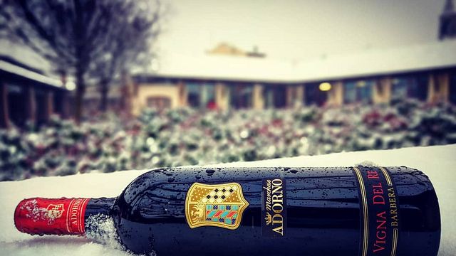 Degustazione di vini e tour al Marchese Adorno