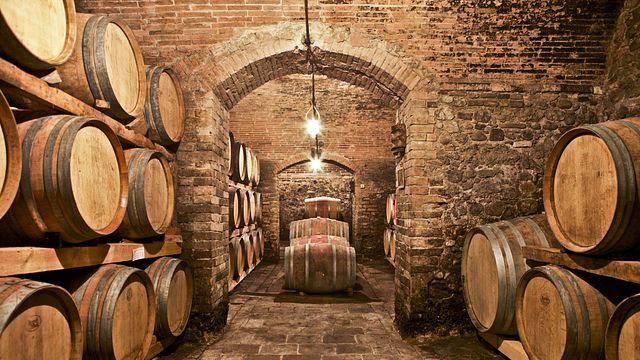 Vinprovning och rundtur på Fattoria Poggio Capponi