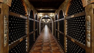Chateau Cojusna