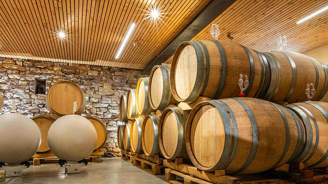 Cata de vinos en Domaine Mann - Vignoble Des 3 Terres