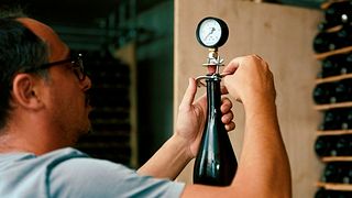 Degustação de vinhos e tour em Federico Mencaroni
