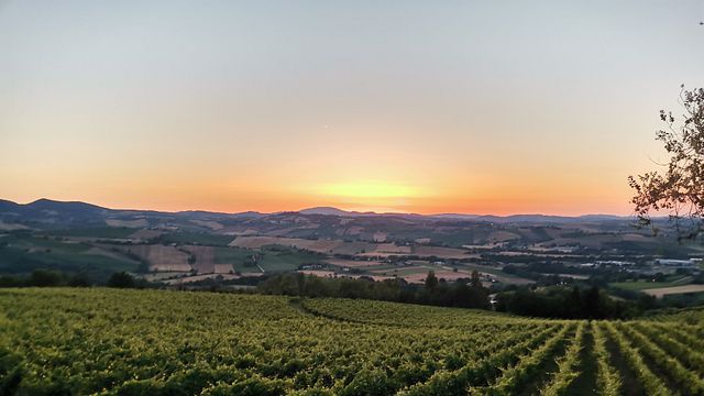 Casalfarneto Winery