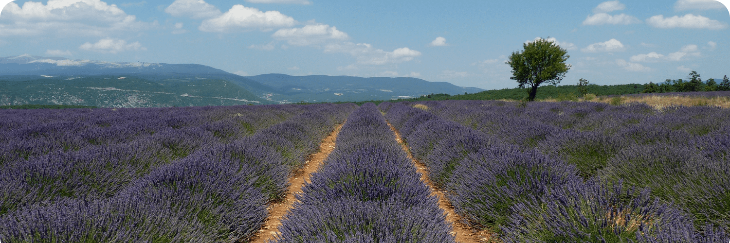 Provence