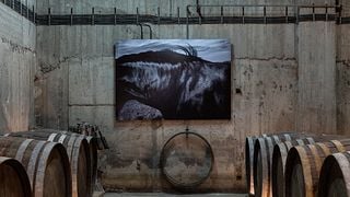 Weinprobe Riza in der Paros Farming Community