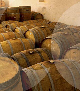 Cata de vinos y tour en Ladron De Lunas