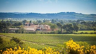 Besichtigung und Verkostung vom Weinstock bis ins Glas | Domaine La Provenquière