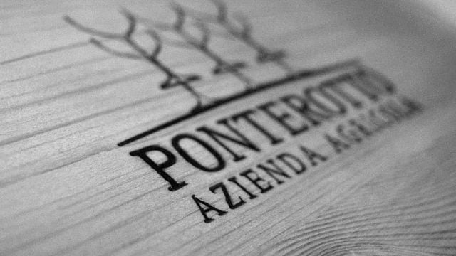 Dégustation de vins et visite à Ponterotto