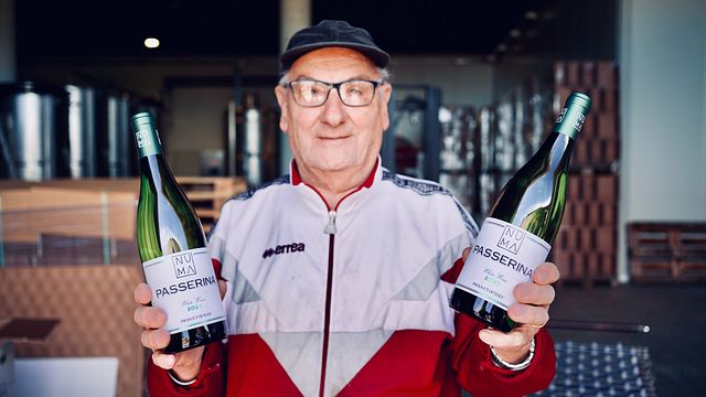 Experience Marche Wine & Tradition at NUMA