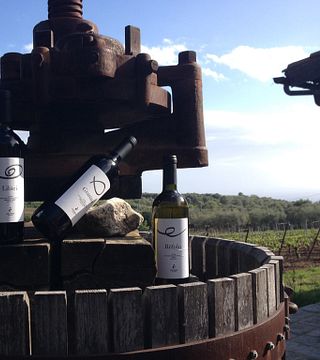Dégustation de vins et visite à la Casa Comerci