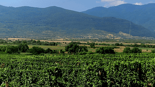 Escapada para o vinho nas encostas dos Montes Ródope
