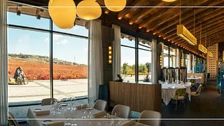 Une balade dans les vignes et déjeuner au restaurant Puntido