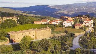 Degustação de vinhos e visita à adega em Collemattoni
