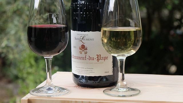 Rhône Valley Reds: A Deep Dive Tasting