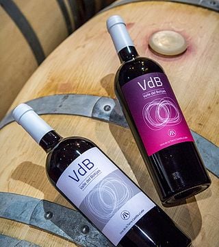 Dégustation de vins, apéritif.